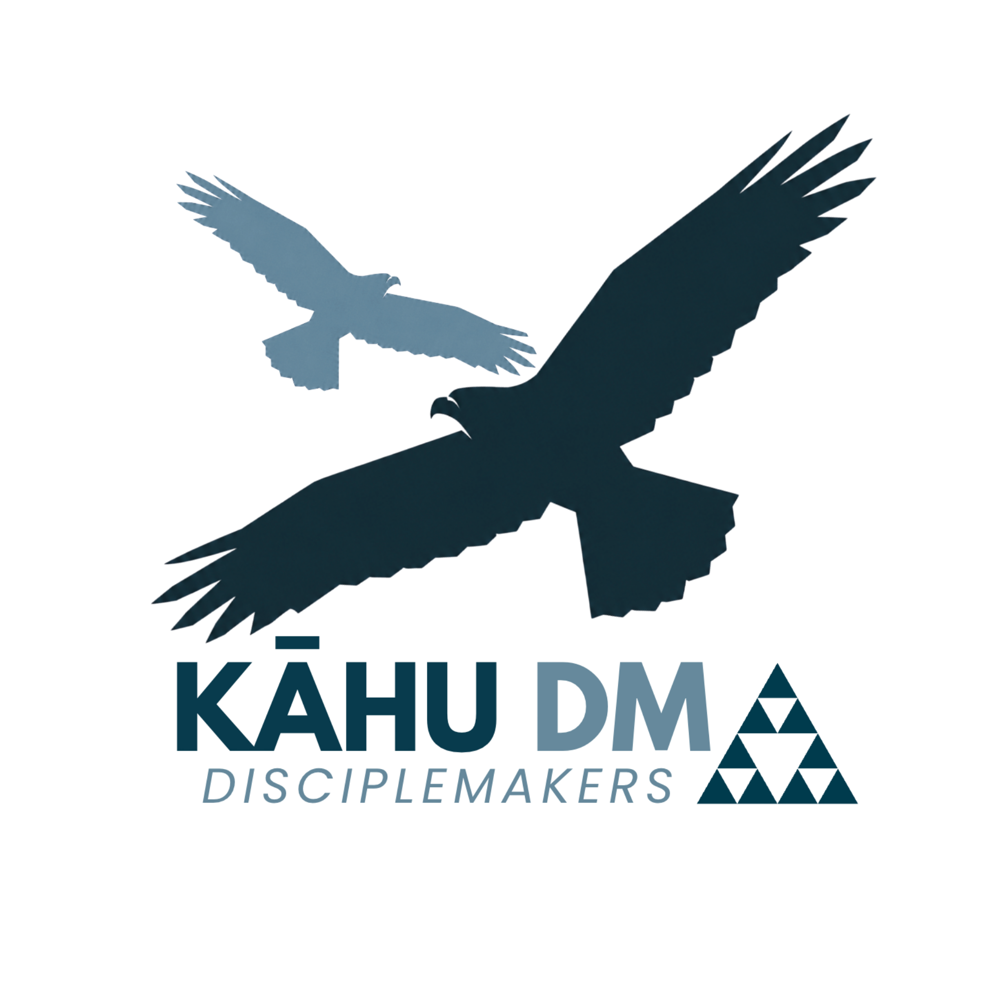 Kāhu DM Disciplemakers