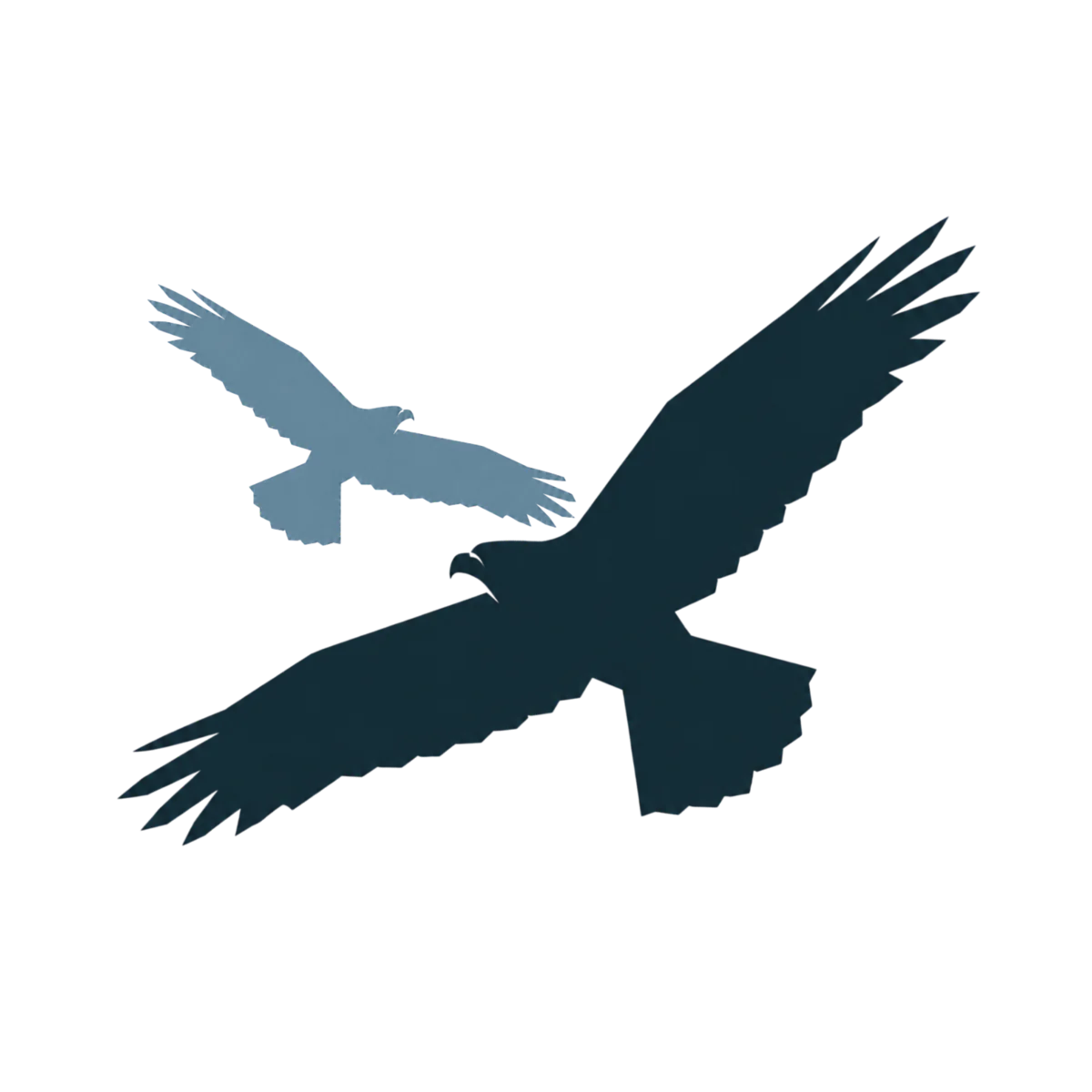 The original Kāhu Disciplemakers birds, soaring together